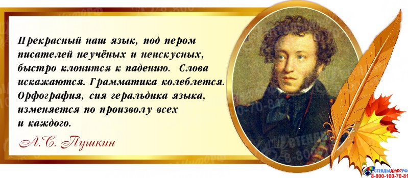 Материально-техническое обеспечение и оснащенность образовательного процесса